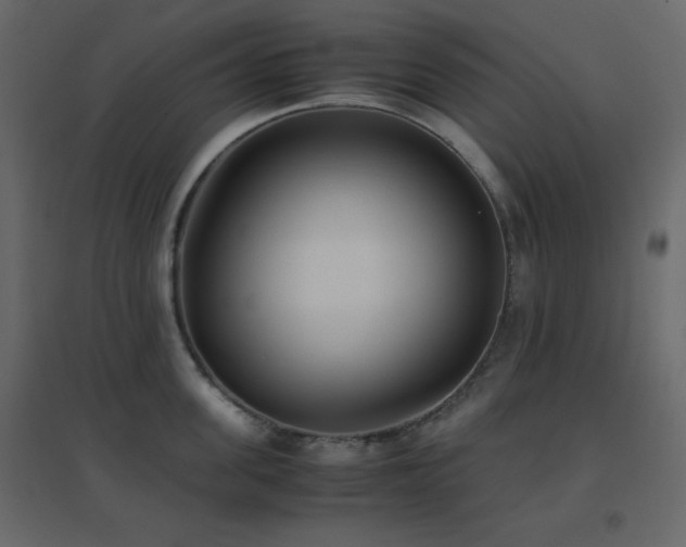 X0000096650955200802051151