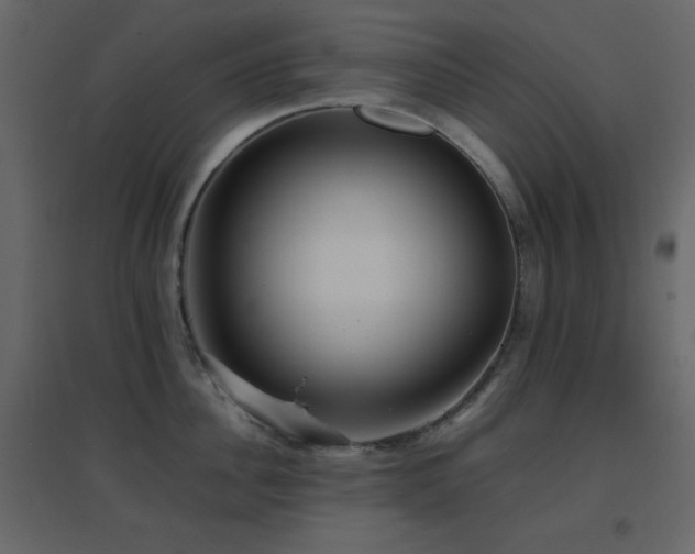 X0000096650956200802051151