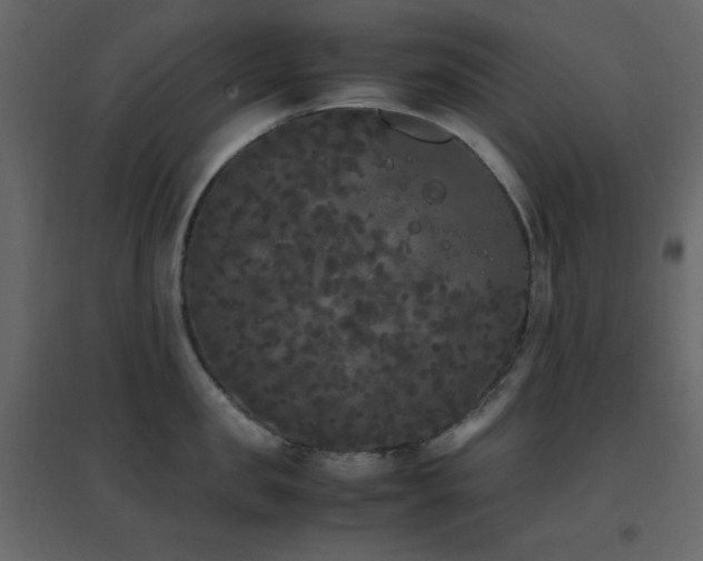 X0000096650957200802051151