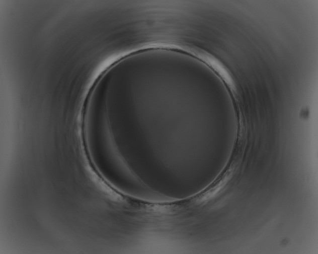 X0000096650958200802051151