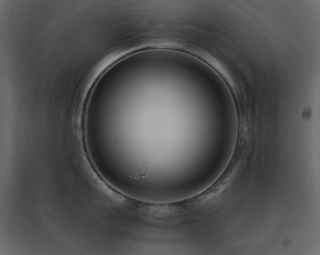 X0000096650959200802051152