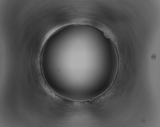 X0000096650960200802051152