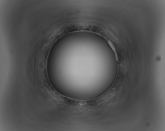 X0000096650961200802051151