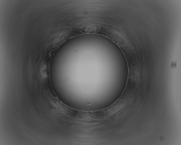 X0000096650962200802051151