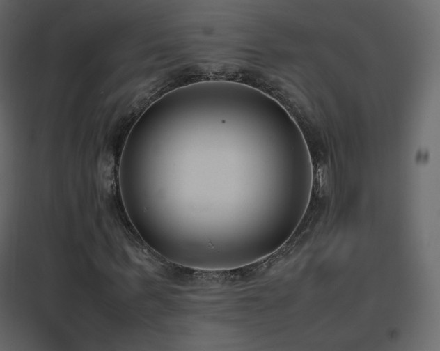 X0000096650963200802051151
