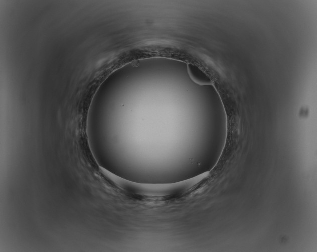 X0000096650965200802051151