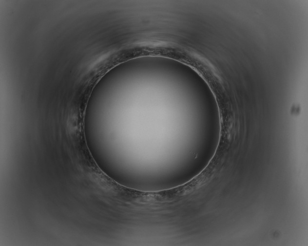 X0000096650966200802051151