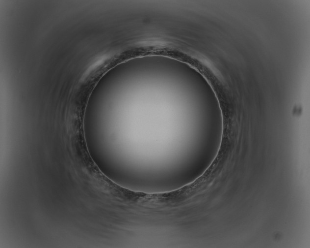 X0000096650967200802051151