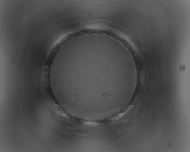X0000096650968200802051151