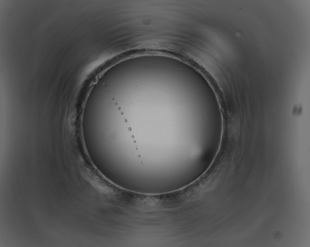 X0000096650971200802051151
