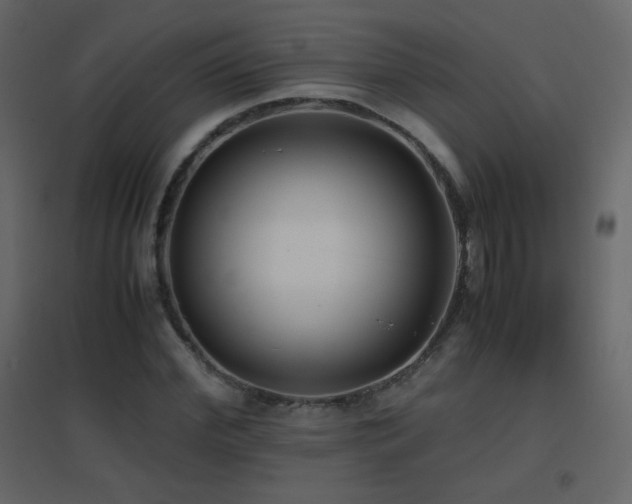 X0000096650972200802051151