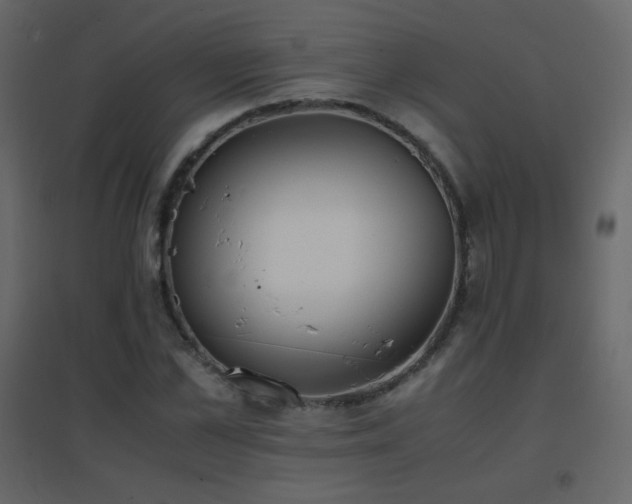 X0000096650973200802051151