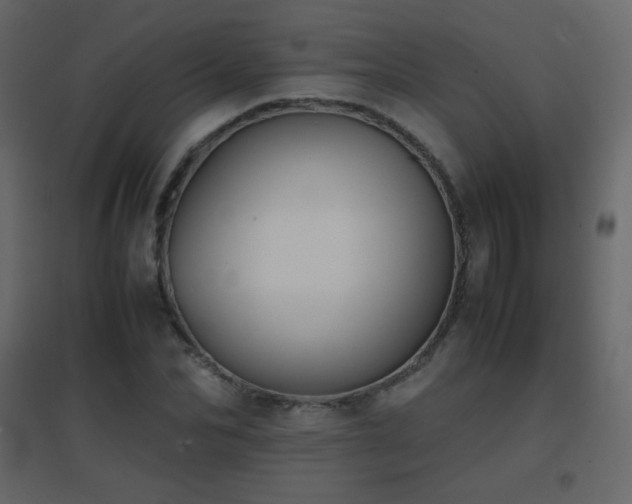 X0000096650974200802051151