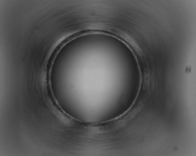 X0000096650976200802051151