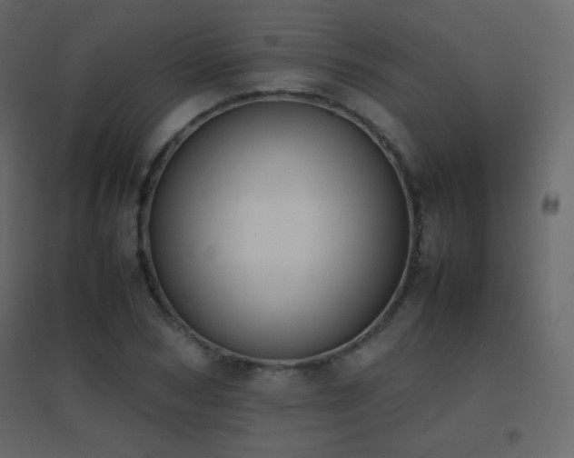X0000096650978200802051151