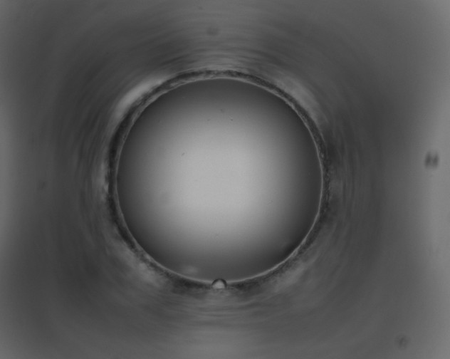 X0000096650979200802051151