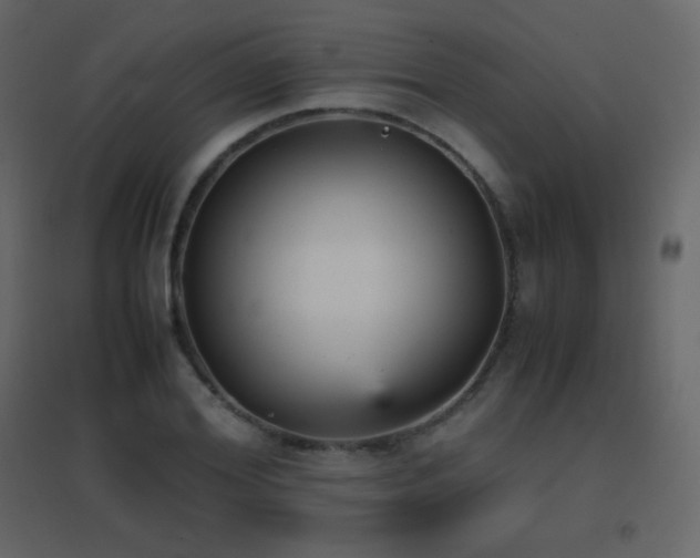 X0000096650980200802051151