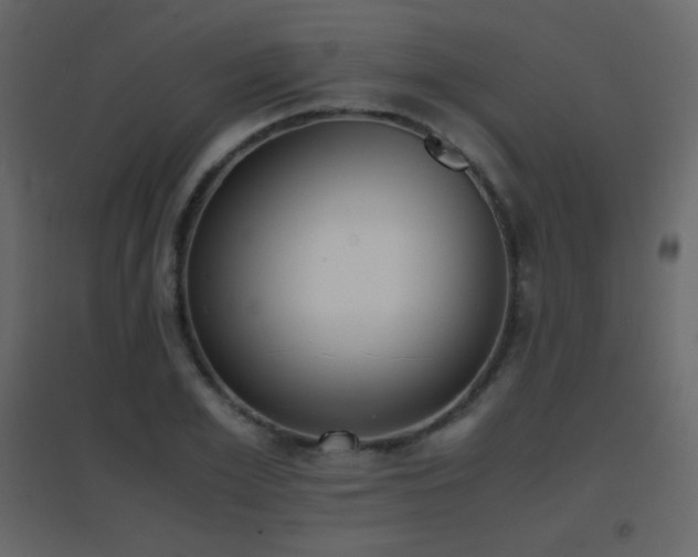 X0000096650981200802051151