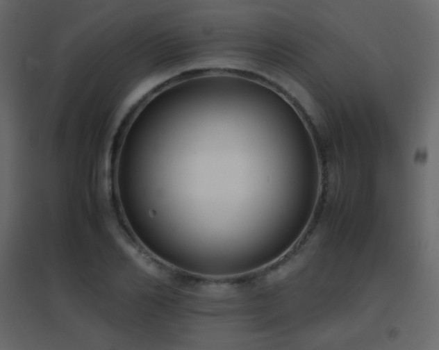 X0000096650982200802051151