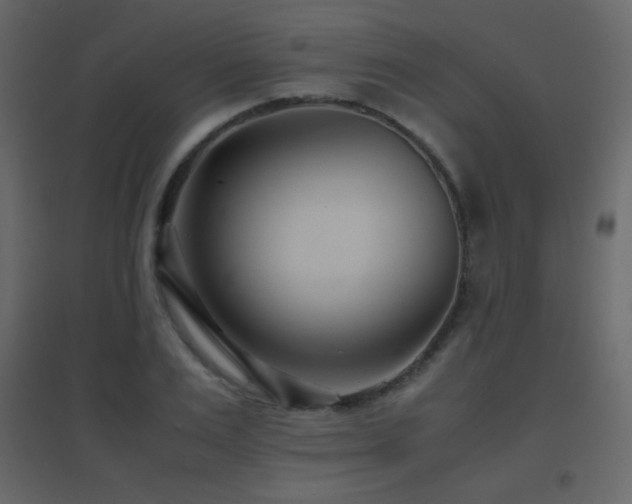X0000096650983200802051151