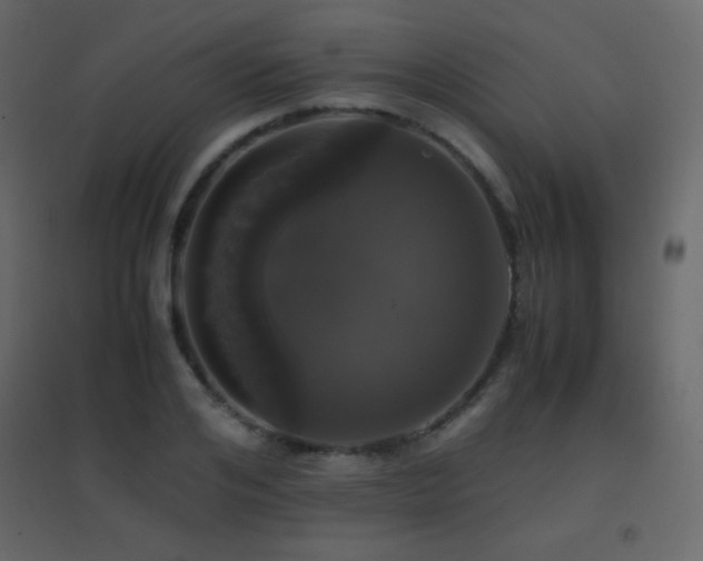 X0000096650984200802051151