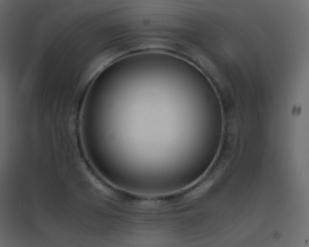 X0000096650985200802051151