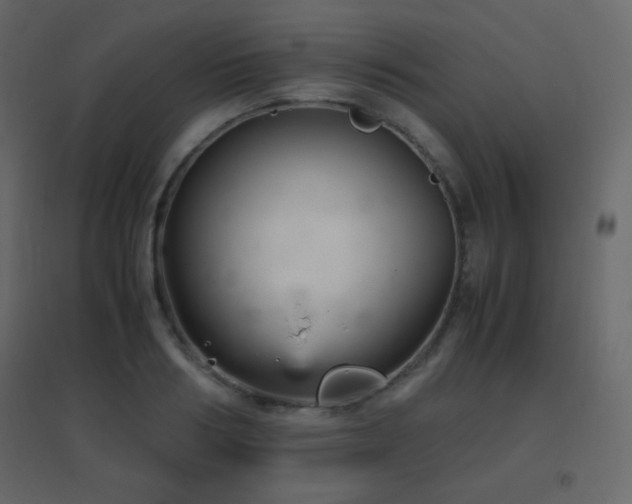 X0000096650986200802051151