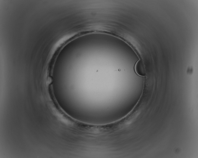 X0000096650987200802051150