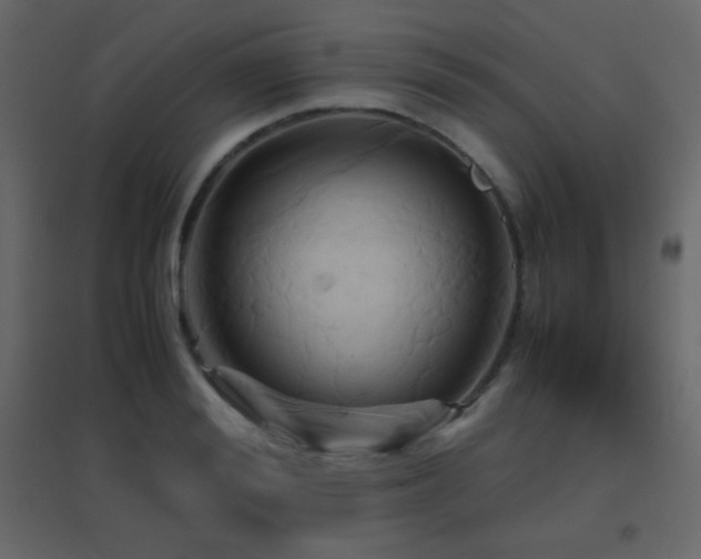 X0000096650988200802051150