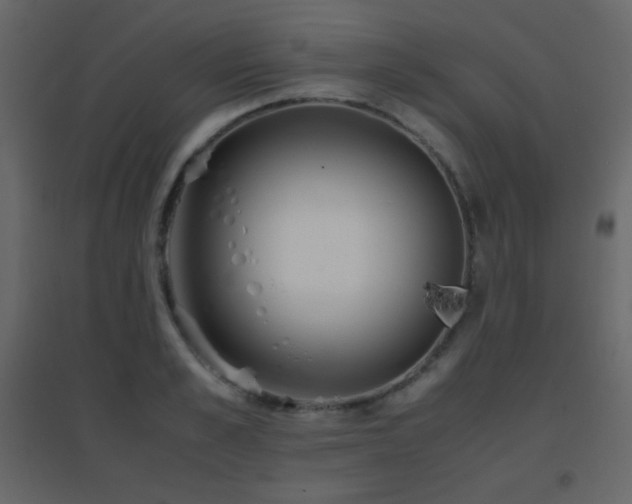 X0000096650989200802051150