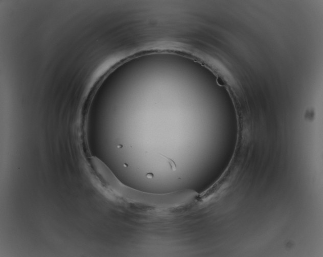 X0000096650990200802051150