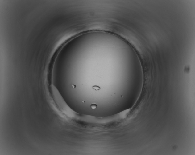 X0000096650991200802051150