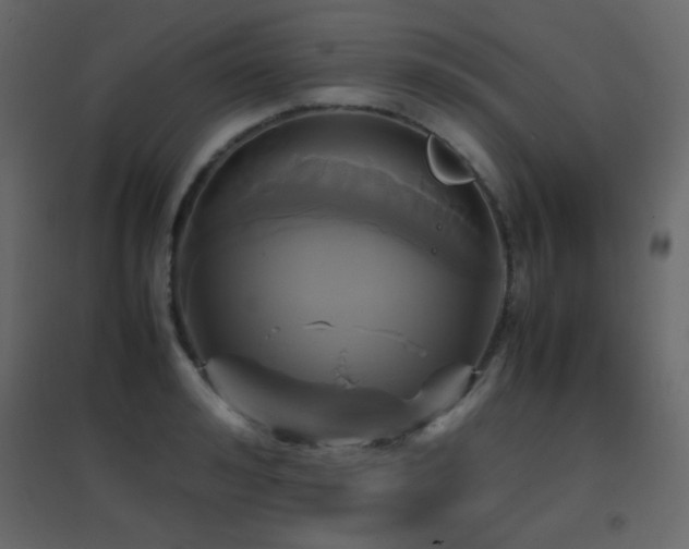 X0000096650992200802051150