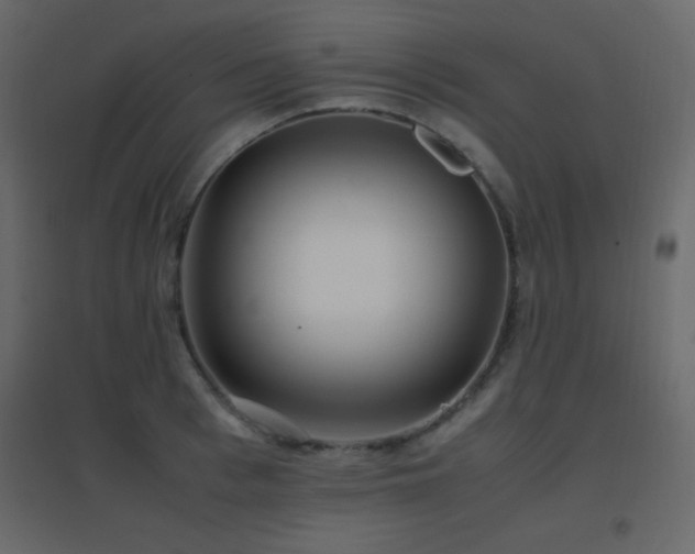 X0000096650993200802051150