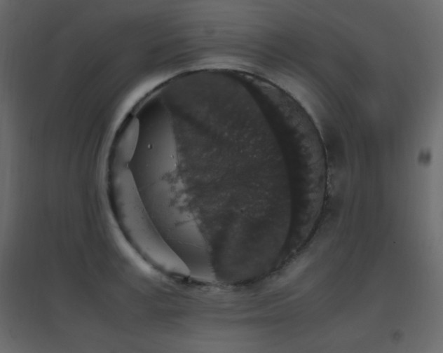 X0000096650995200802051150