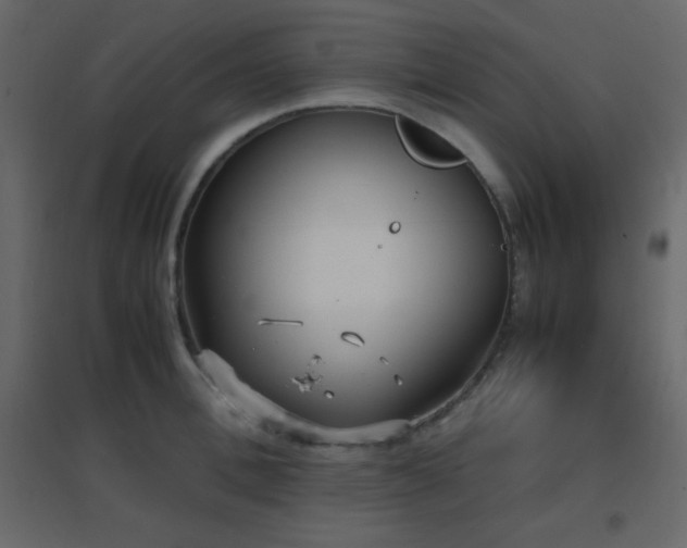 X0000096650996200802051150