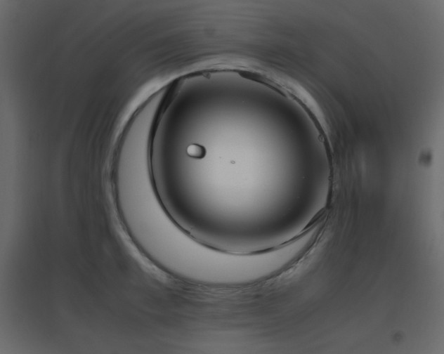 X0000096650997200802051150