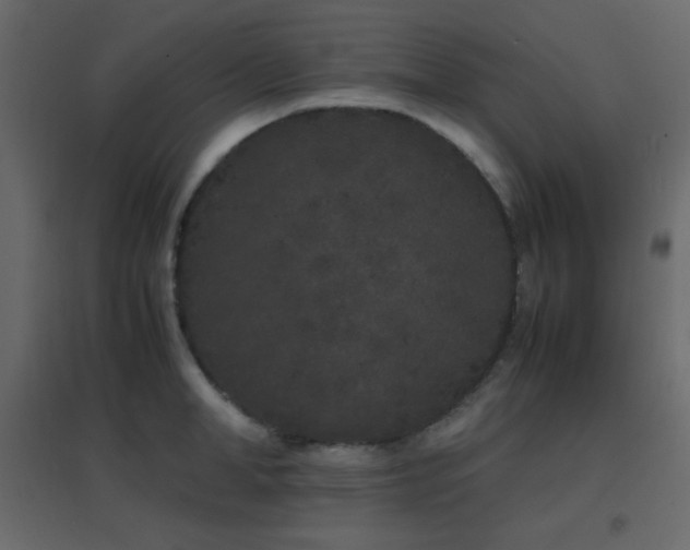 X0000096650998200802051150