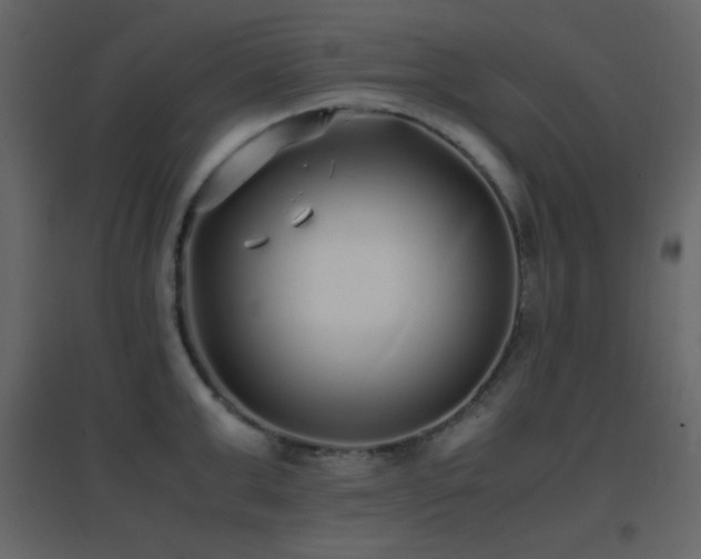 X0000096650999200802051150