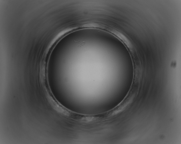 X0000096651000200802051150