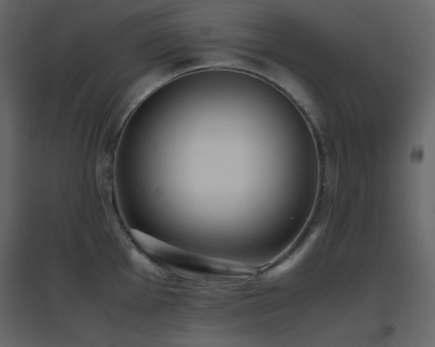 X0000096651001200802051150