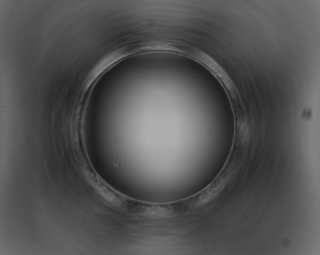 X0000096651002200802051150