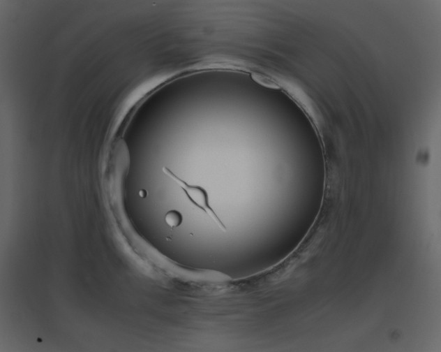 X0000096651003200802051150