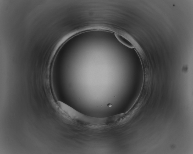 X0000096651004200802051150