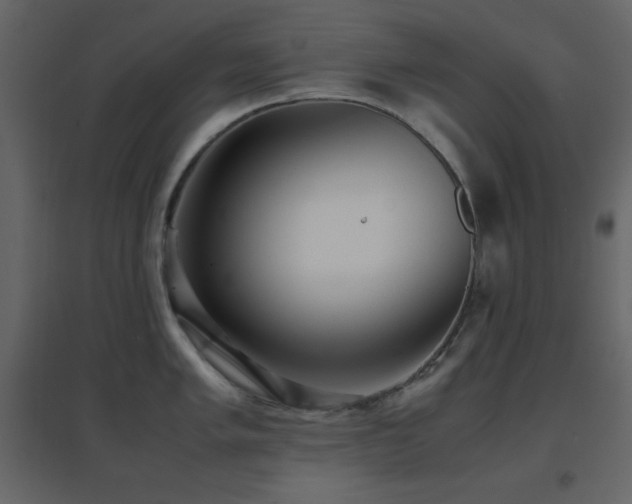 X0000096651005200802051150