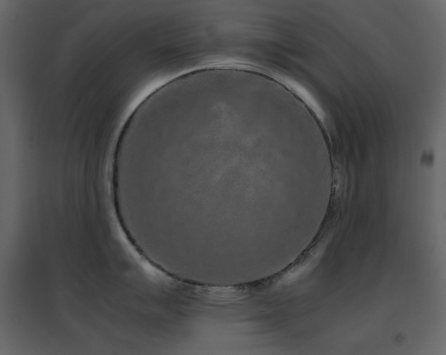 X0000096651007200802051150