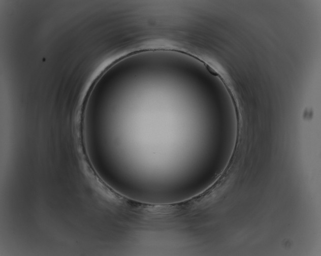 X0000096651008200802051150
