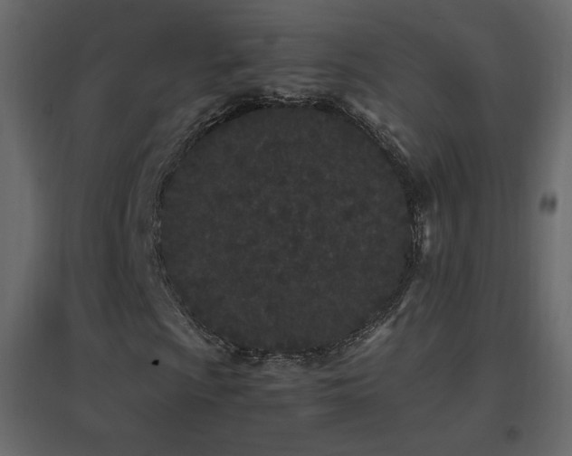 X0000096651009200802051149