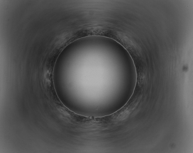 X0000096651010200802051149
