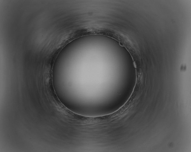 X0000096651012200802051149
